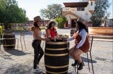 Tour de vinhedos por Tequisquiapan