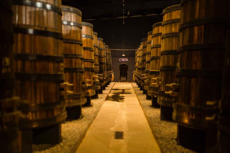 Interior de una de las bodegas que visitaremos