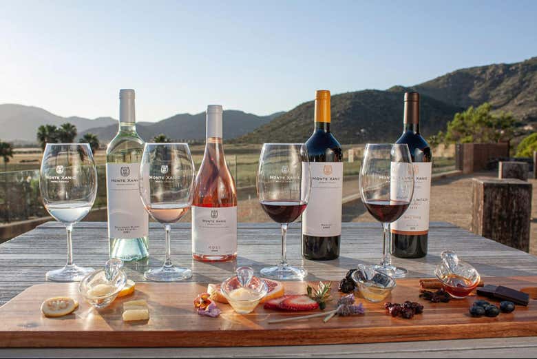 Los exquisitos vinos del Valle de Guadalupe