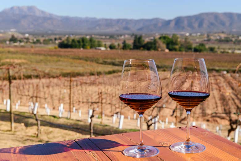 Copas de vino en la región del valle de Guadalupe