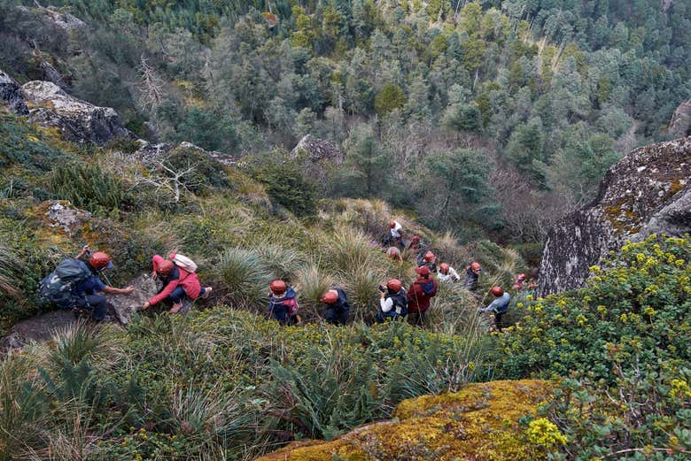 Profitez de la randonnée à la Peña del Rey