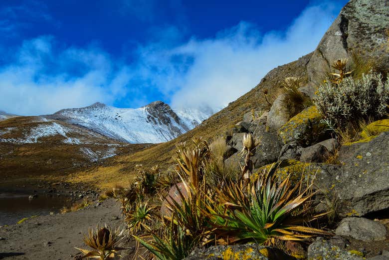 Paysage de Nevado de Toluca