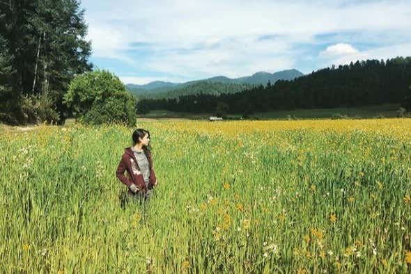Découvrez cette verdoyante nature pendant la randonnée