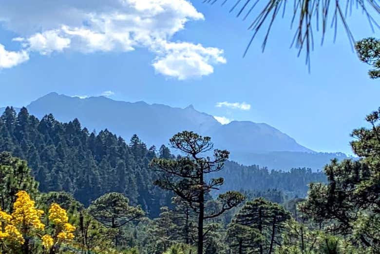 Vue sur le Nevado de Toluca