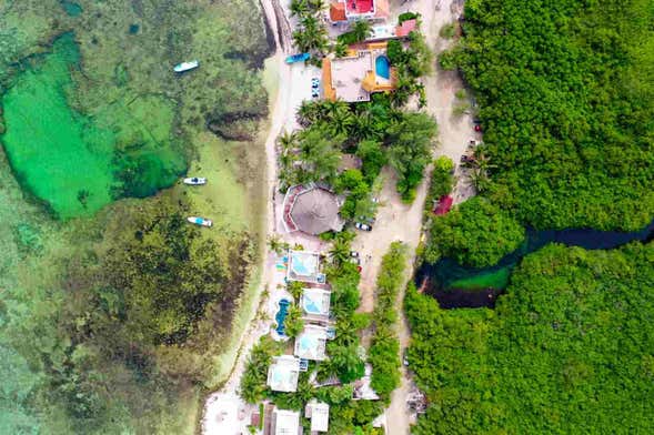 Beginner's Scuba Diving in Tulum