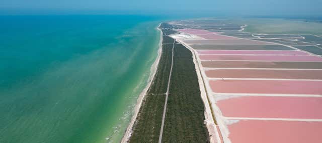 Excursion à Las Coloradas et Río Lagartos
