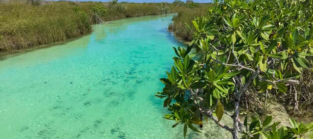 Tour por Tulum y los canales de Sian Ka'an
