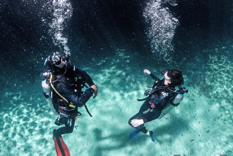 Diving in Tulum
