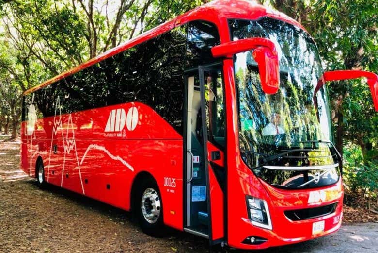 Make the most of your visit to Mexico!