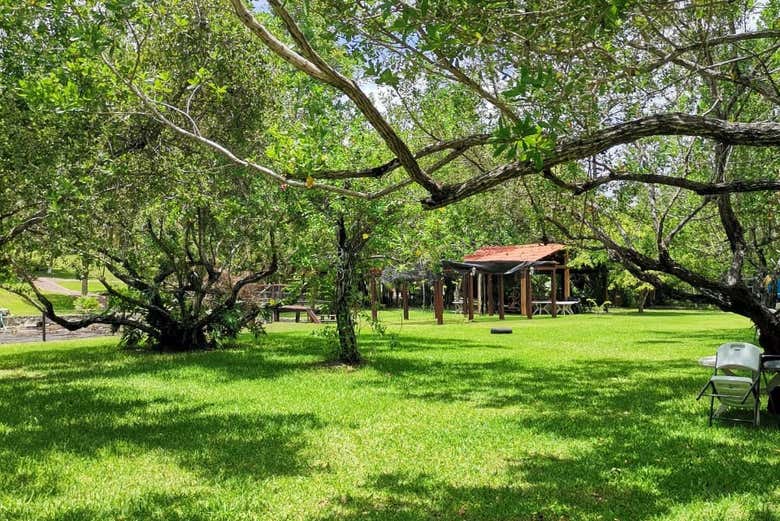 Bacalar también tiene zonas verdes de las que disfrutar