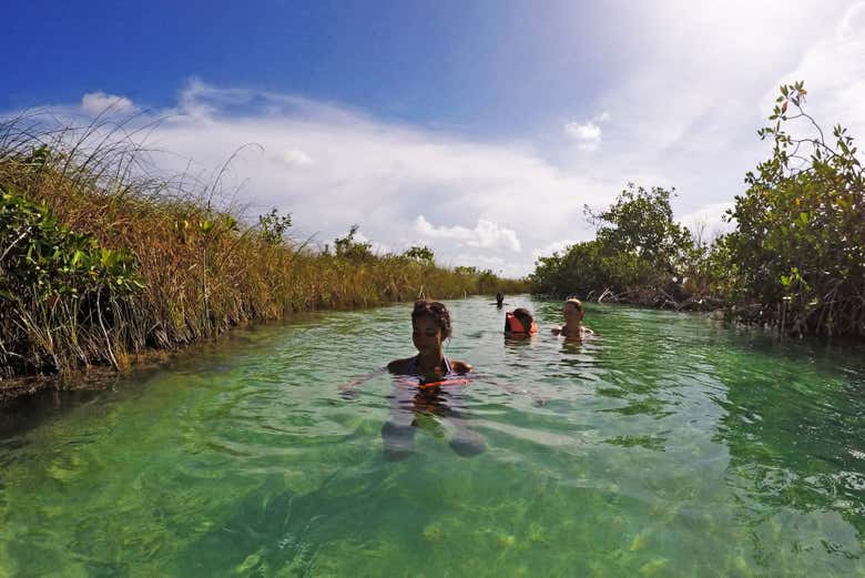 Disfrutando de un baño en los canales de Sian Ka'an