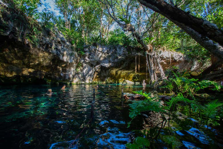 Desfrutando de um mergulho em um cenote