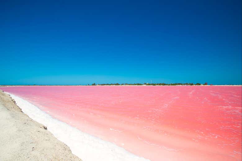 Fall in love with the deep pink color of the lagoon