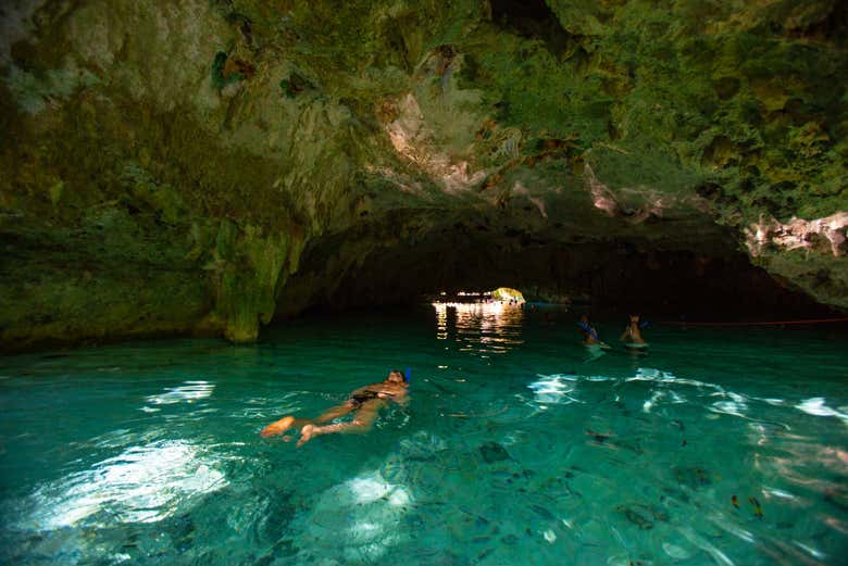 Aguas cristalinas del cenote