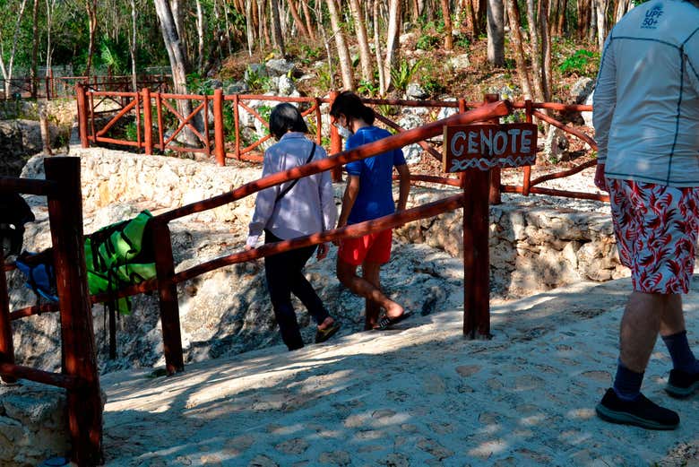 Steps to the cenote