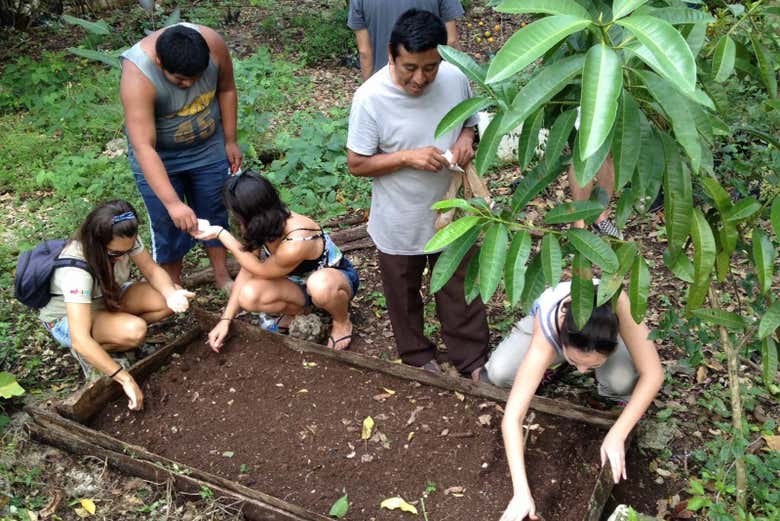 Participando en actividades agrícolas