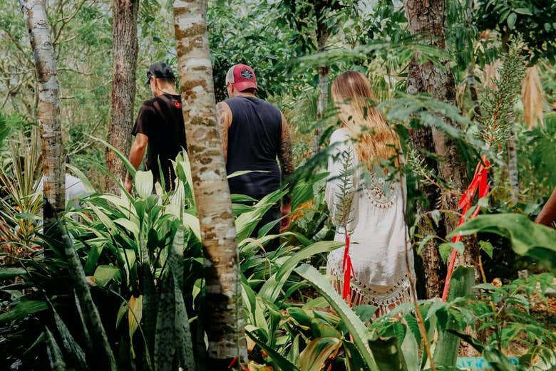 Traverse through the jungle in Punta Laguna