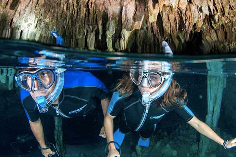 Discover the amazing underwater marvels