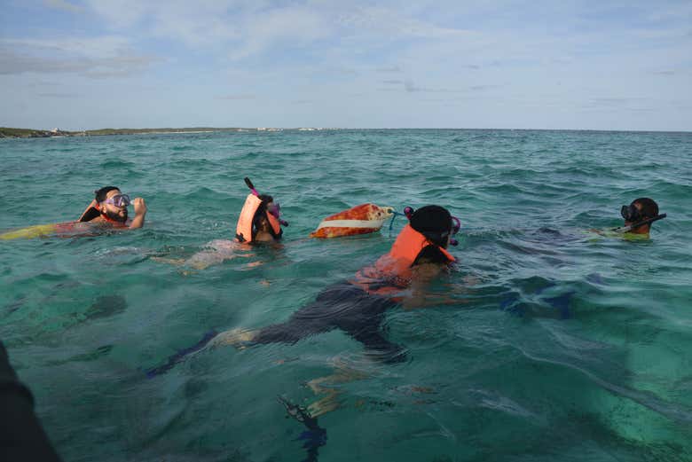Snorkel in the crystal-clear waters
