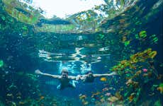 Paseo a caballo por Tulum + Snorkel en un cenote maya