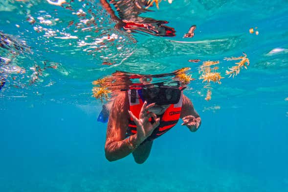 Snorkel em Tulum