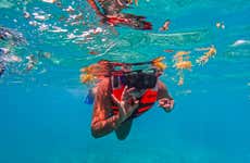 Snorkel en Tulum