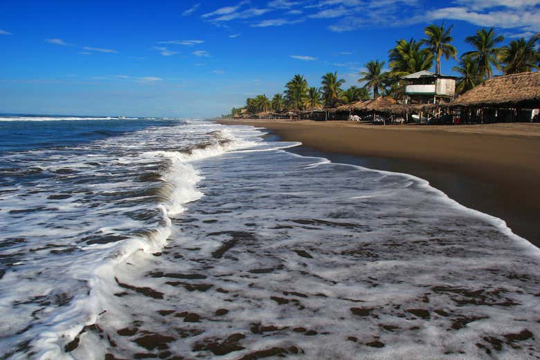 Oleaje en Puerto Arista
