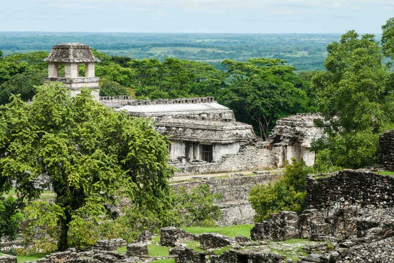 Yacimiento Palenque