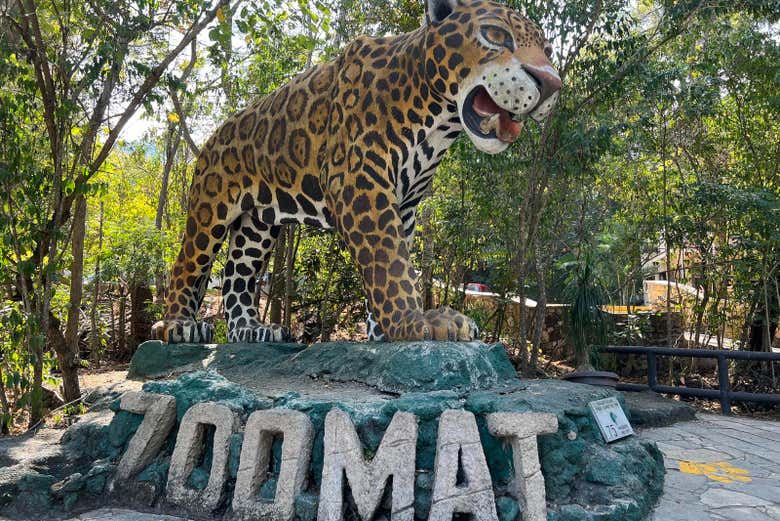 Welcome to Zoomat, one of Mexico's most famous zoos