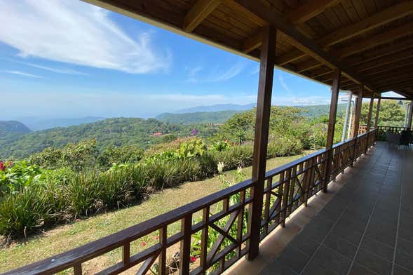 Tour del café por Chiapas con noche en una finca