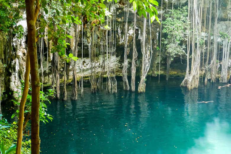 Cenote Yokdzonot