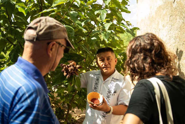 Alla scoperta dei segreti della gastronomia locale