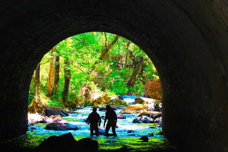 Caminando por el río Molino