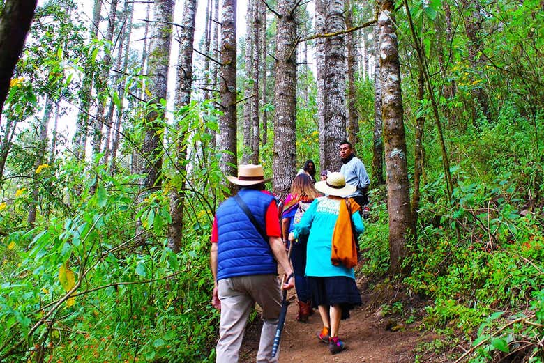 Senderismo por los bosques de Valle de Bravo
