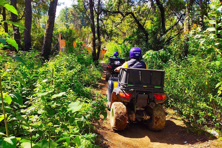 Descubriendo los bosques de Valle de Bravo