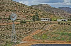 Autobús turístico del Valle de Guadalupe