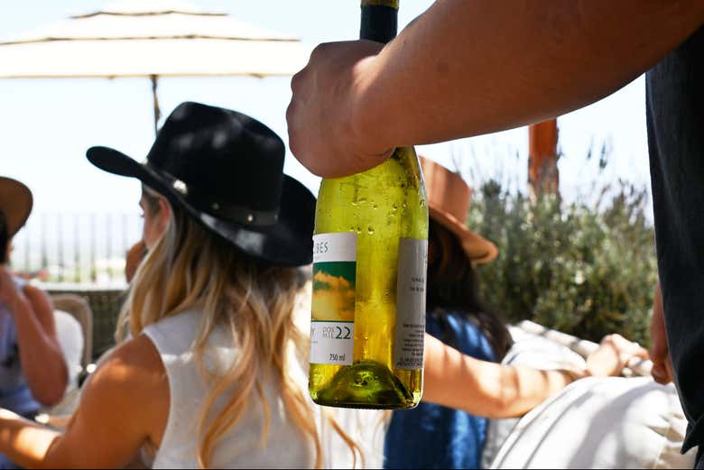 Conoceréis una amplia oferta de vinos del valle