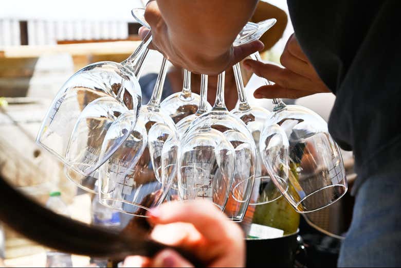 ¿Sabíais que hay más de 100 bodegas en Valle de Guadalupe?