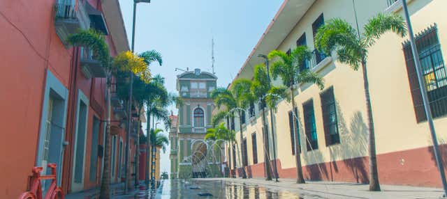 Excursion à Cordoba et Orizaba