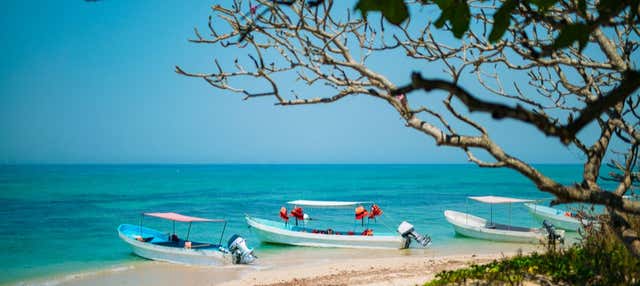 Excursión a la isla de Enmedio