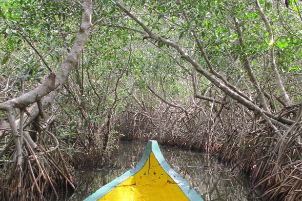 Mandinga Boat Trip