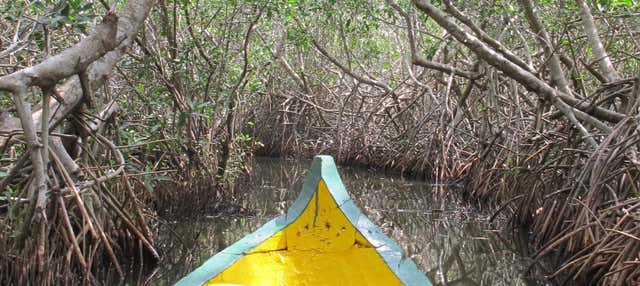 Excursion à Mandinga + Balade en bateau