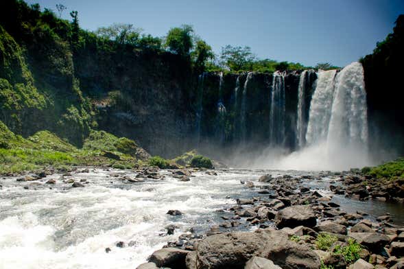 Excursión a los Tuxtlas y Catemaco