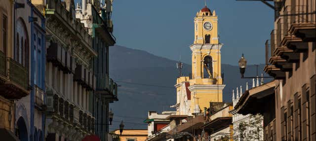 Xalapa & Coatepec Day Trip