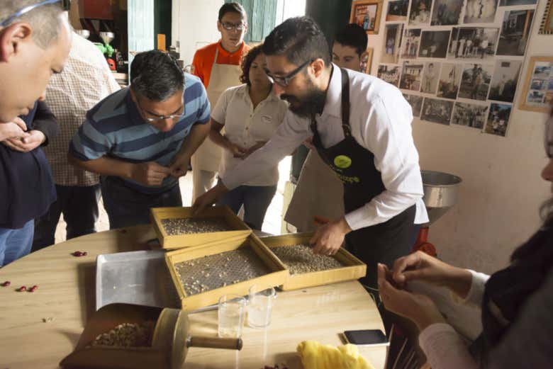 Tour del café por Coatepec