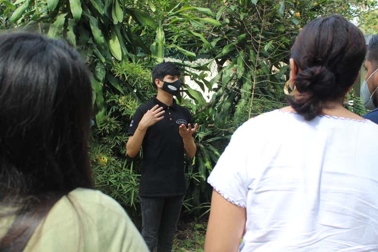 Museo del Café en coatepec