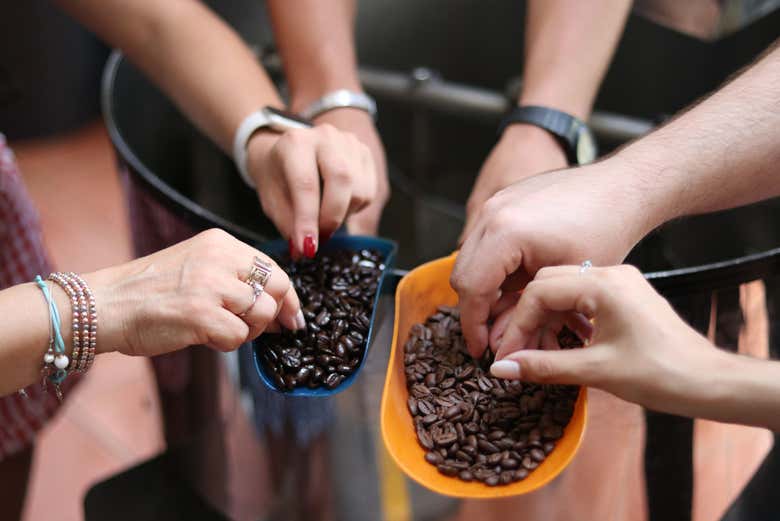 Museo del café en Coatepec