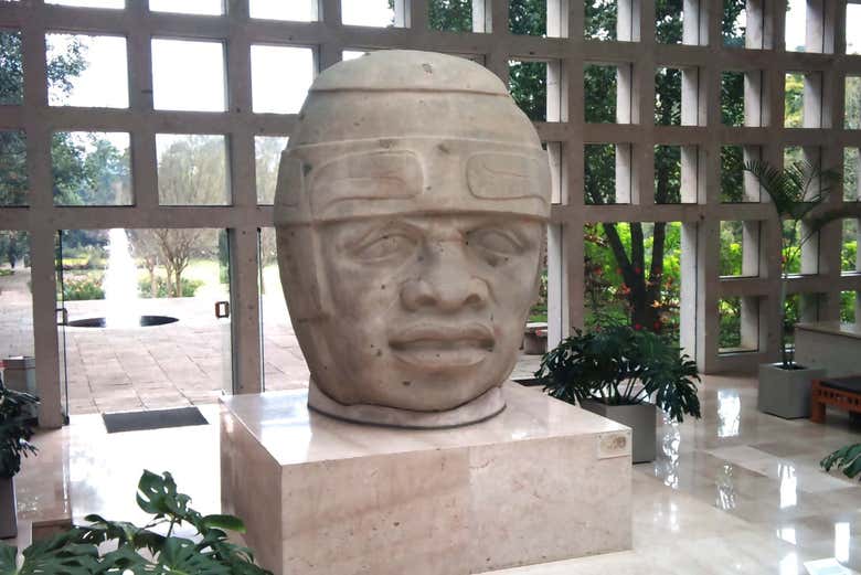 Museum of Anthropology