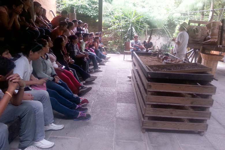 Interactive Coffee Museum in Coatepec