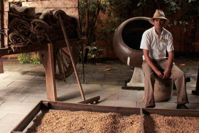 Interactive Coffee Museum